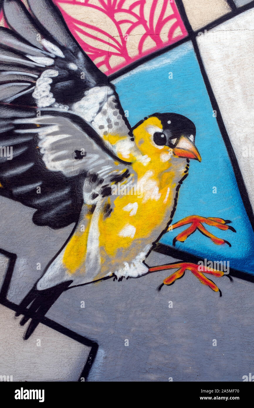 Détail de fresque murale par Cloudface pour Fest 2018 à Albuquerque, Nouveau Mexique Banque D'Images
