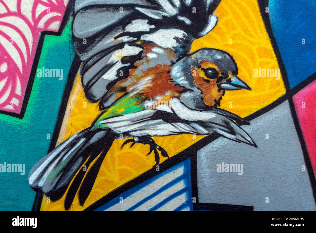 Détail de fresque murale par Cloudface pour Fest 2018 à Albuquerque, Nouveau Mexique Banque D'Images