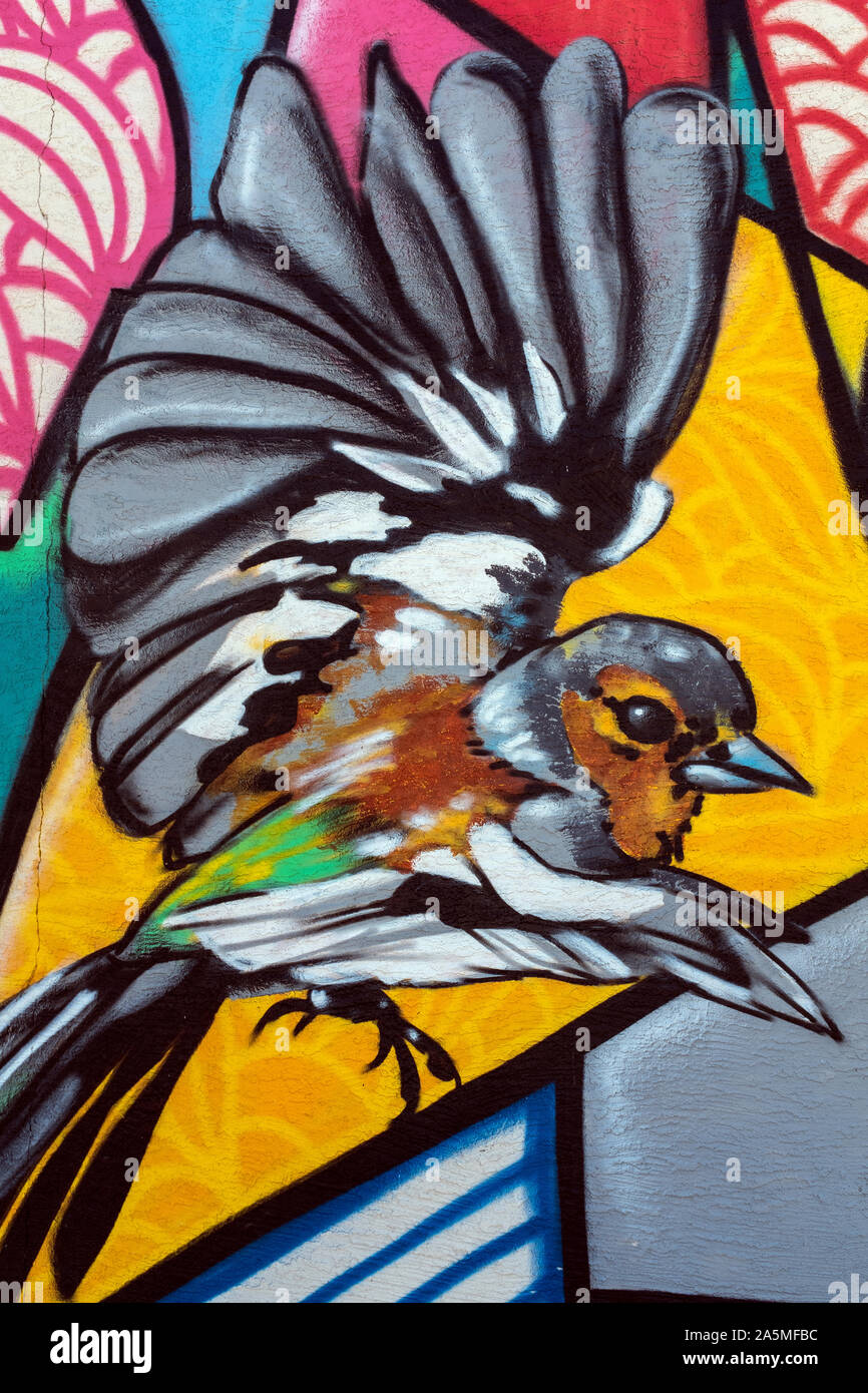 Détail de fresque murale par Cloudface pour Fest 2018 à Albuquerque, Nouveau Mexique Banque D'Images