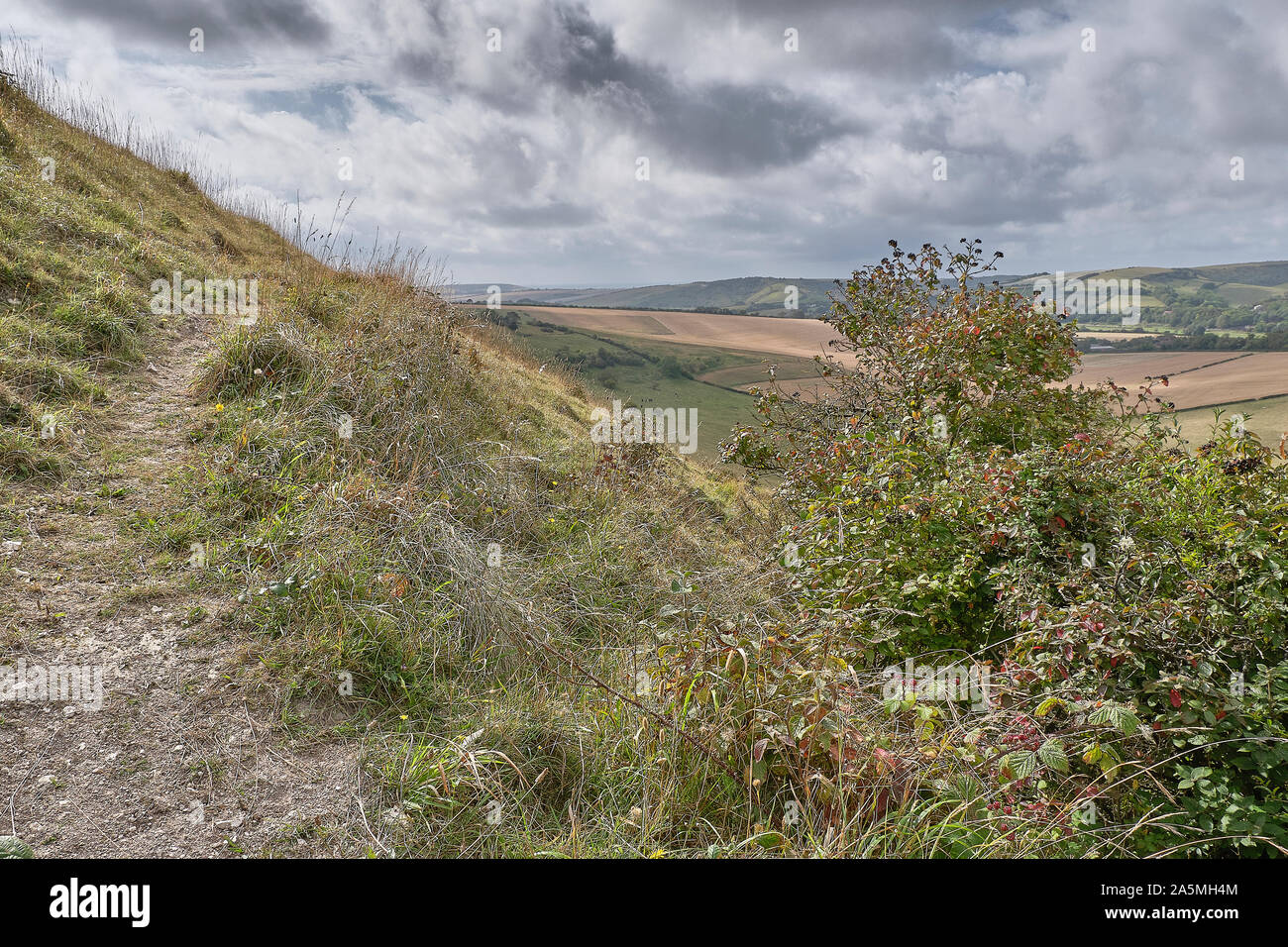 Vue d'un chemin et sentier paysage ouvert sur le parc national des South Downs, Sussex Banque D'Images Vue d'un chemin et sentier paysage ouvert sur le parc national des South Downs, Sussex Banque D'Images