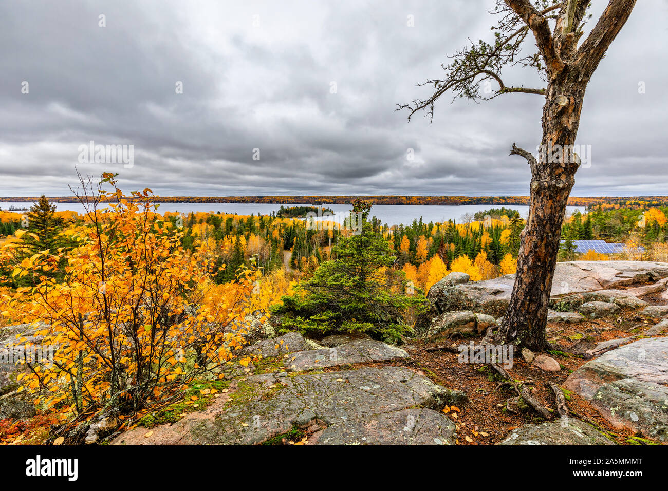Haut du monde donnent sur la piste, à l'automne, le parc provincial du Whiteshell, Manitoba, Canada. Banque D'Images