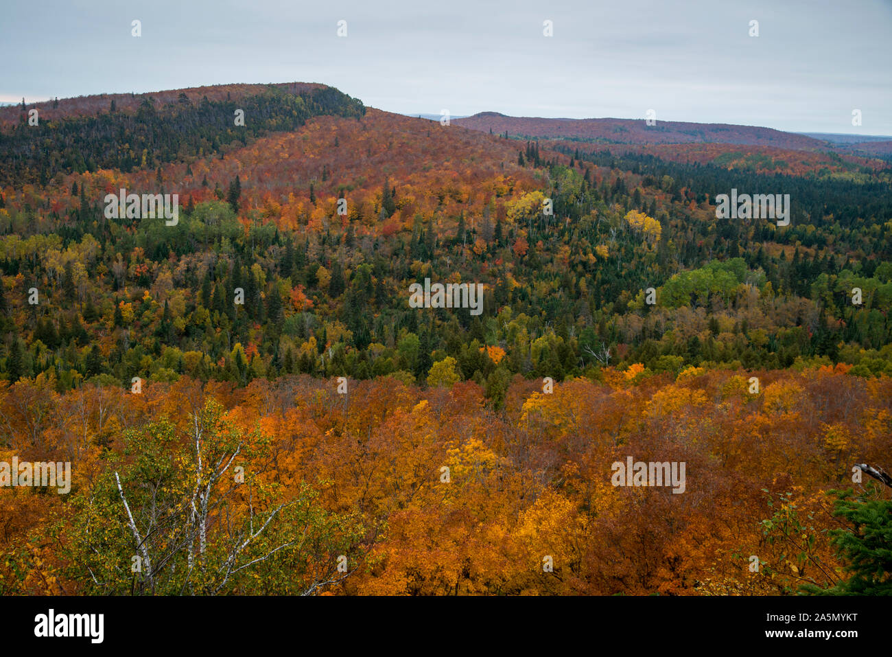 Tofte, Minnesota. La couleur de l'automne de la chambre Superior National Forest. Banque D'Images