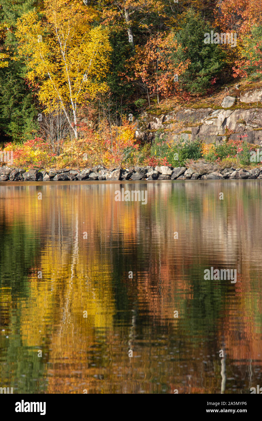 Les reflets brillants de couleurs d'automne sur un lac paisible en Ontario Banque D'Images