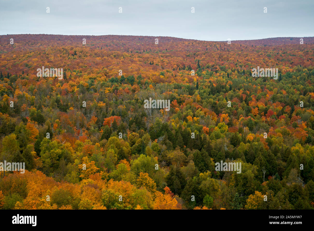 Tofte, Minnesota. La couleur de l'automne de la chambre Superior National Forest. Banque D'Images