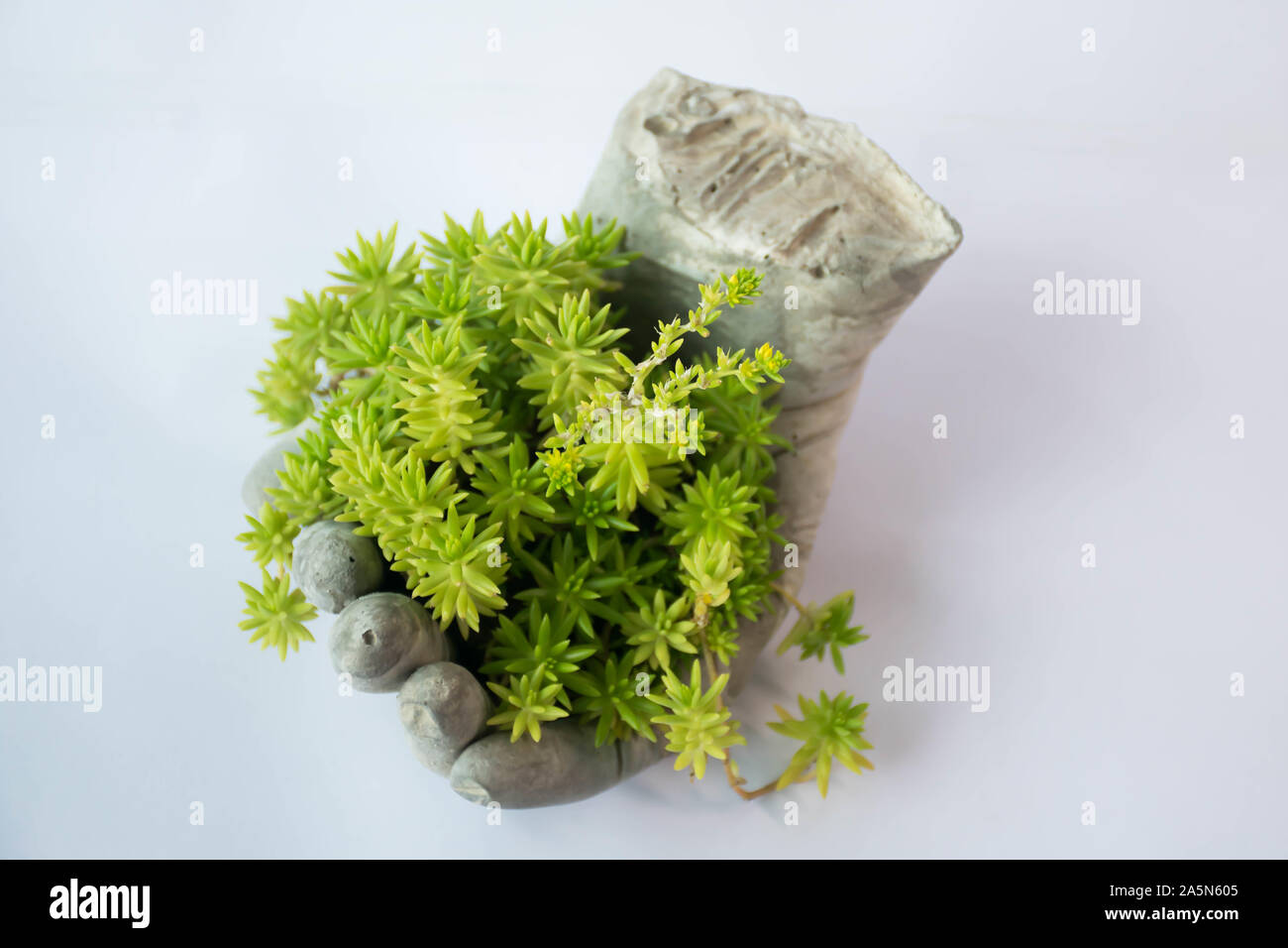 Dia fait maison les plantes d'intérieur idée Banque D'Images