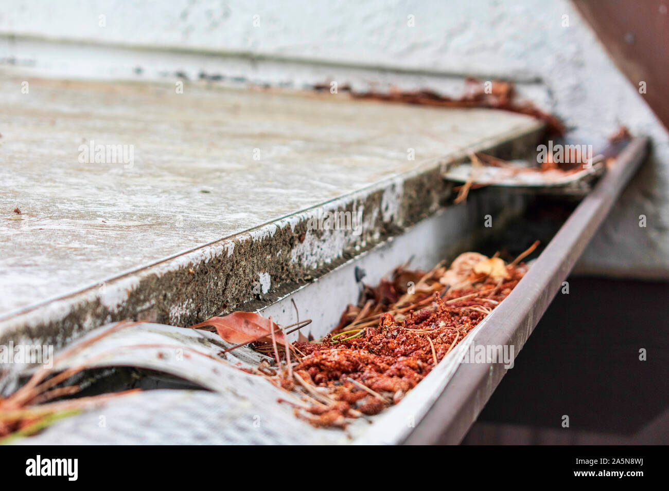 Gouttière de toit obstrués par des feuilles et autres débris. L'écran de la feuille en plastique endommagés et gouttière garde. Banque D'Images