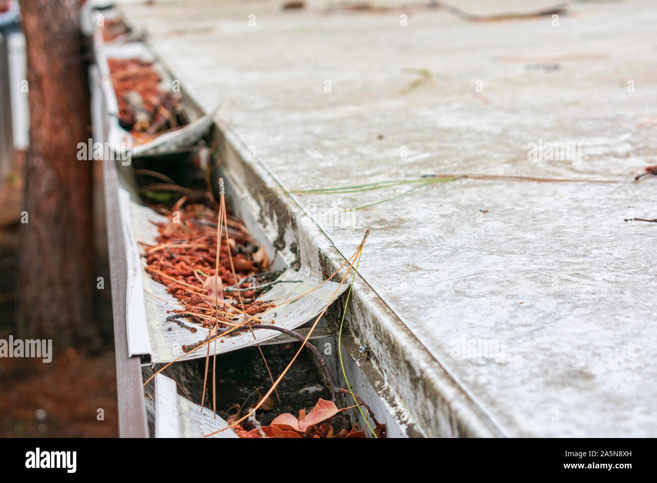 Gouttière de toit obstrués par des feuilles et autres débris. L'écran de la feuille en plastique endommagés et gouttière garde. Banque D'Images