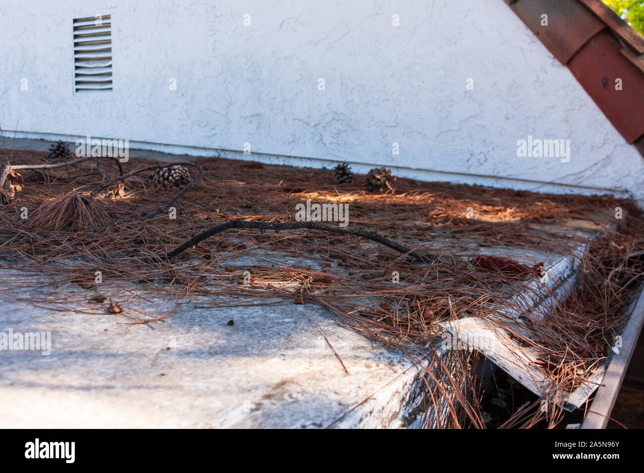 Gouttière de toit obstrués avec les feuilles, les aiguilles de pin et de débris. Filet de plastique endommagé Gutter Guard et l'écran de la feuille. Gouttière Nettoyage, inspection Banque D'Images