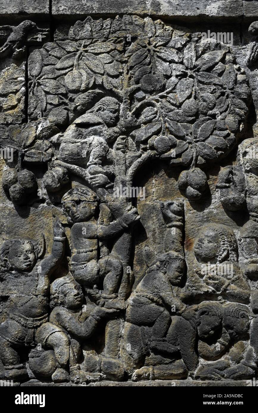 Bas-reliefs au temple de Mendut, Central Java, Indonésie. Banque D'Images