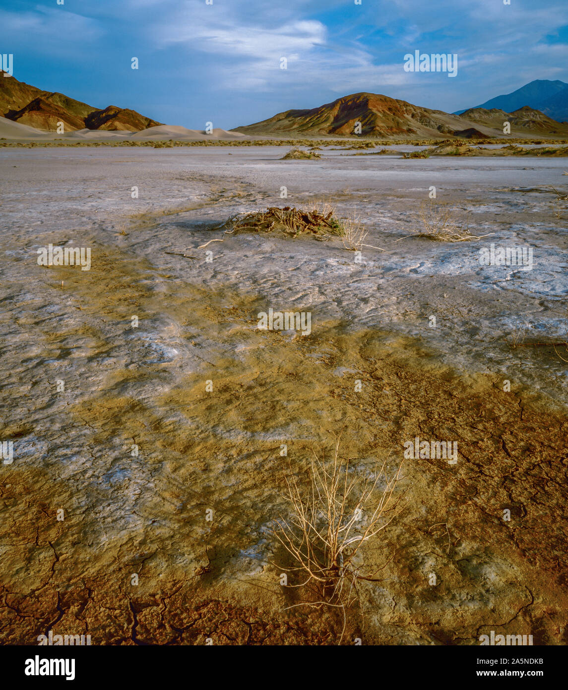 Rivière Amargosa sec, Bouquetin Dunes, Death Valley National Park, Californie Banque D'Images