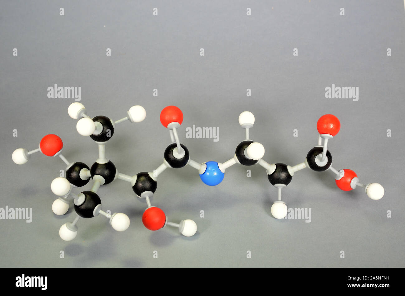 Molécule modèle de vitamine B5. L'hydrogène est blanc, noir de carbone est, le rouge est l'oxygène et l'azote bleu Banque D'Images