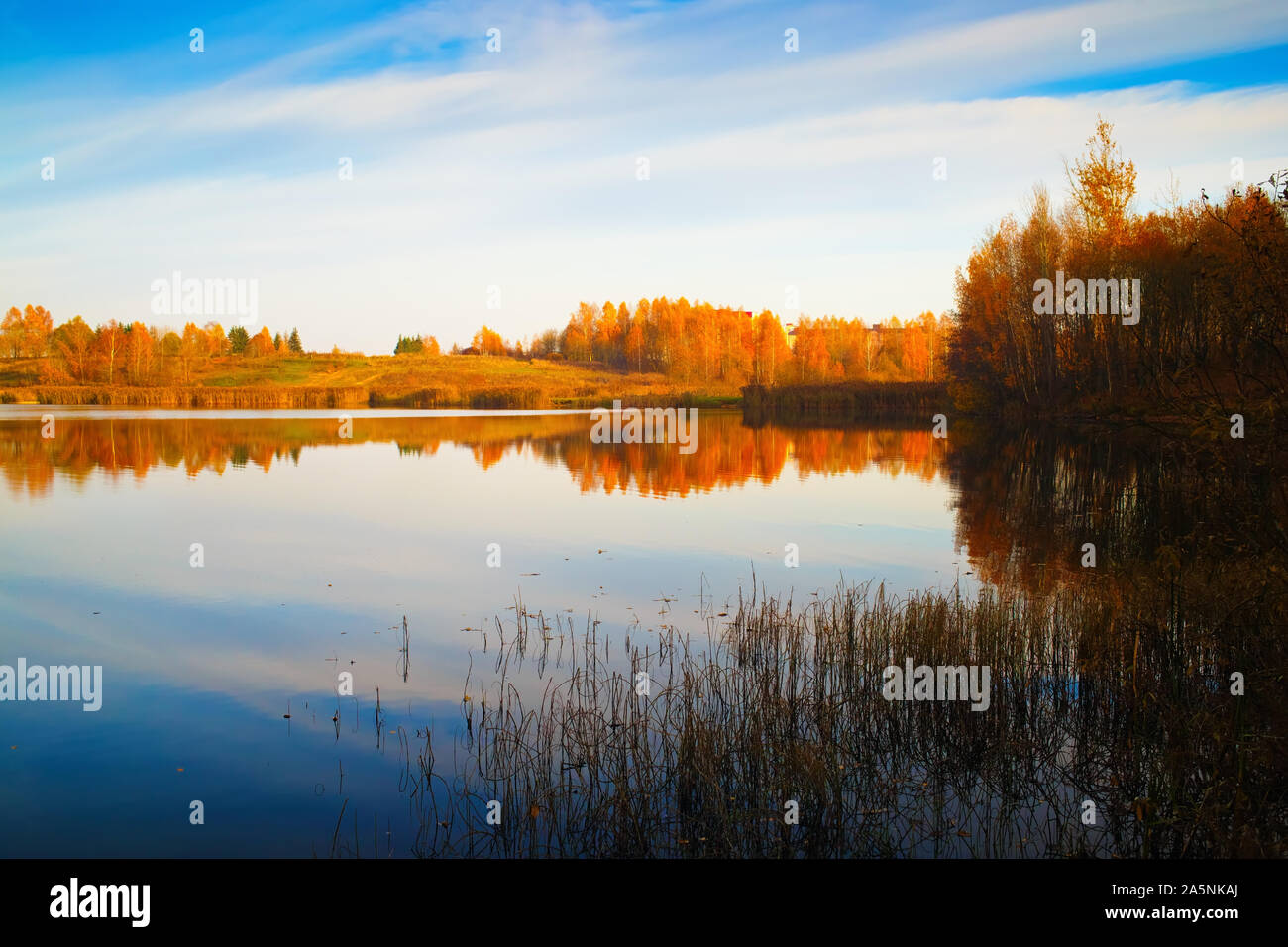 Superbe paysage d'automne. Le ciel bleu, arbres et buissons jaunis se reflètent dans la surface calme du lac. Banque D'Images