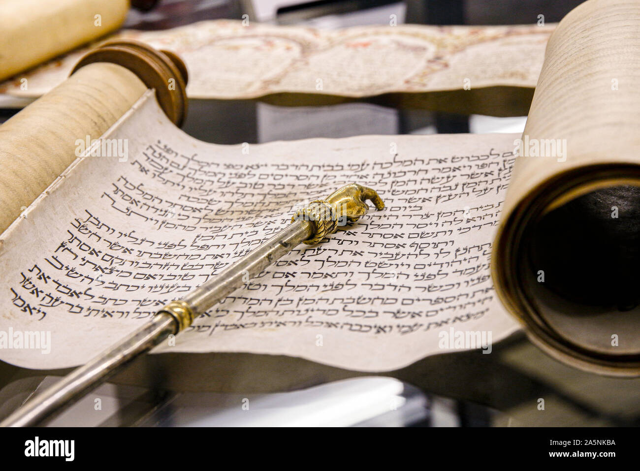 Italie Vénétie Padoue : Musée juif : Faire défiler d'Esther. Manuscrit sur parchemin Banque D'Images