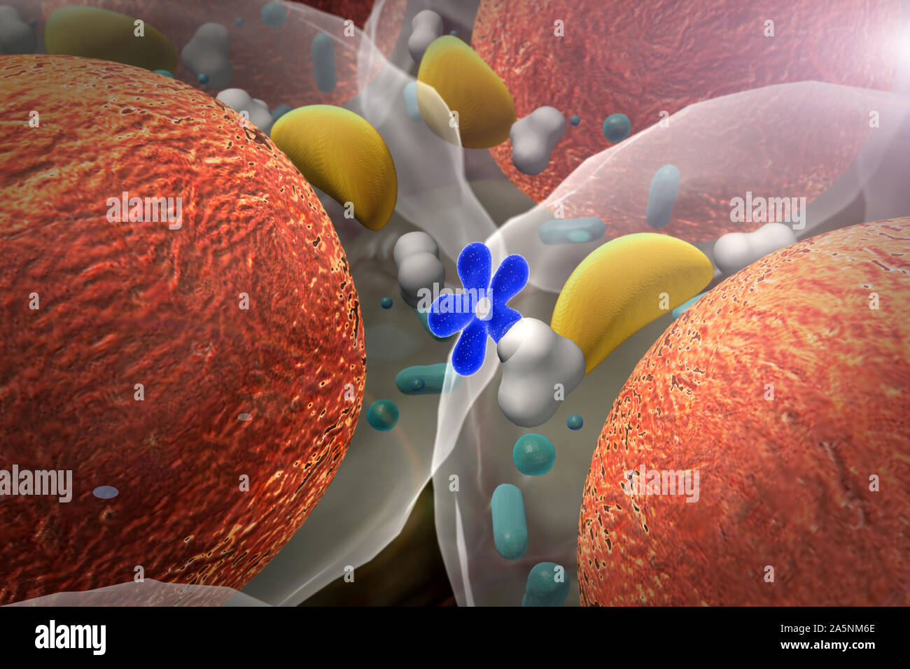 L'insuline entre dans la cellule, le rendu 3D de haute qualité de cellules, champ de cellules Banque D'Images