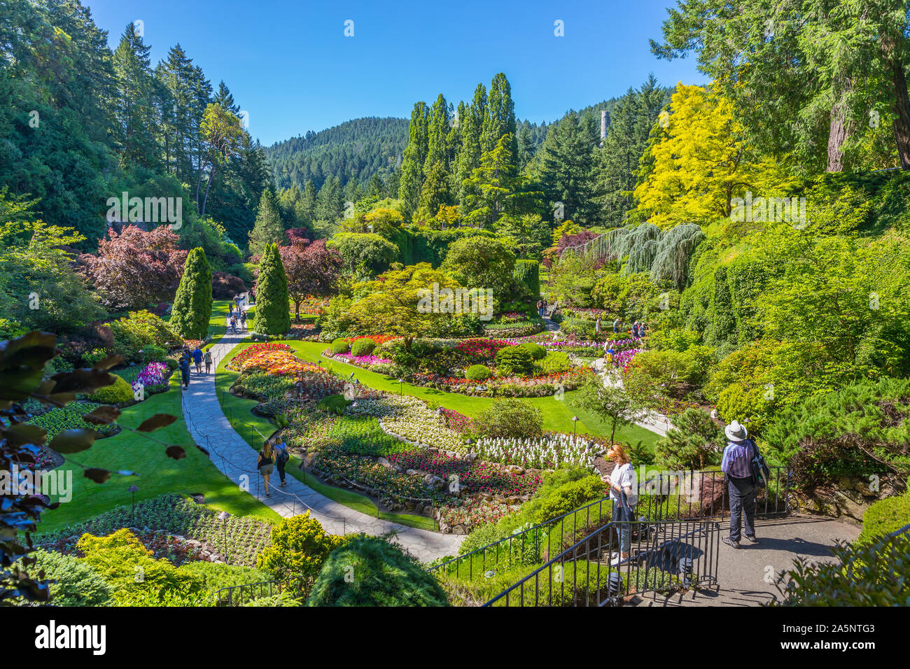 Les Butchart Gardens à Victoria, île de Vancouver, Canada pour l'été. Vue sur les fleurs colorées et les arbres du jardin historique. Banque D'Images