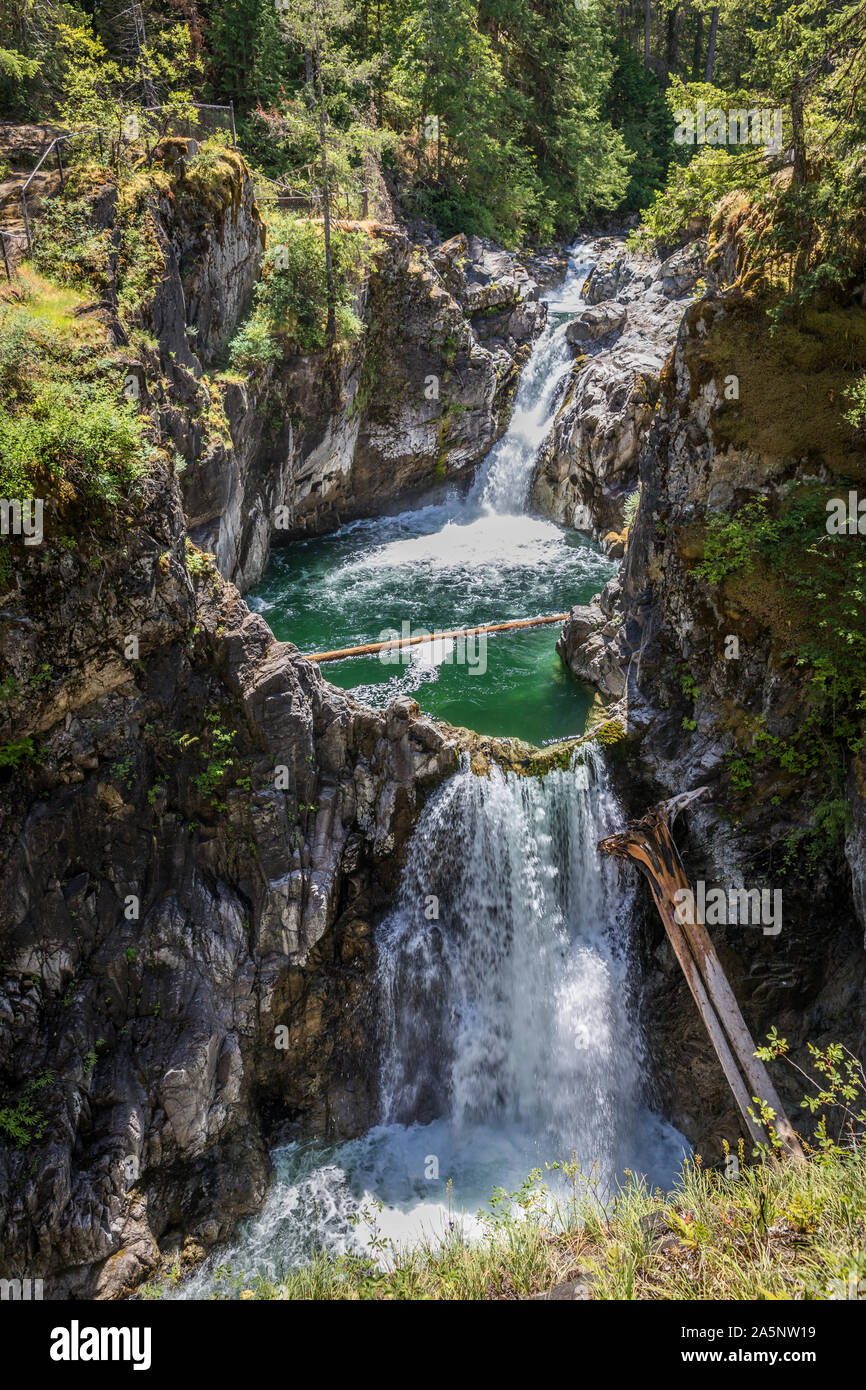 Little Qualicum Falls Provincial Park, l'île de Vancouver, Colombie-Britannique, Canada Banque D'Images