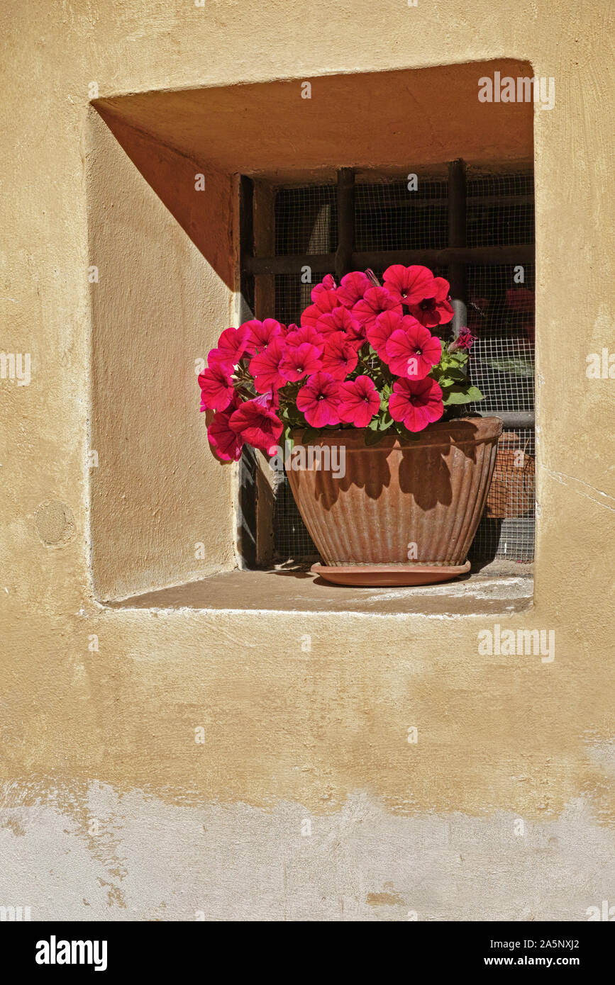 Petite fenêtre avec un pot de pétunias en fleurs Banque D'Images