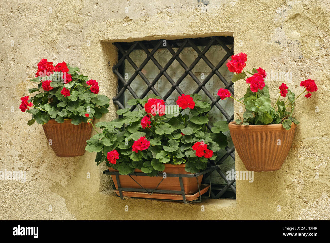 Petite fenêtre décorée de pots de géraniums en fleurs Banque D'Images