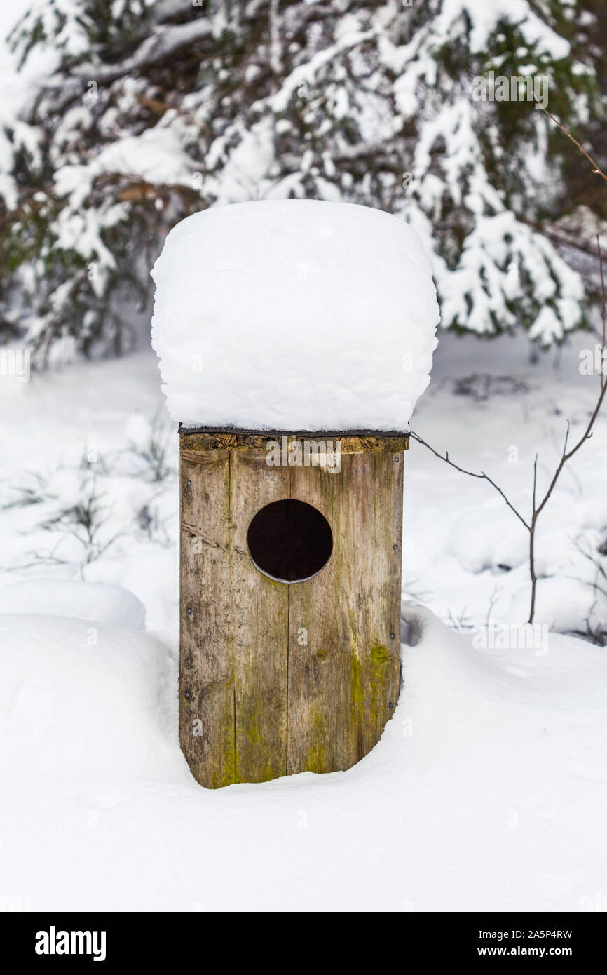 Maison d'oiseau à l'hiver Banque D'Images