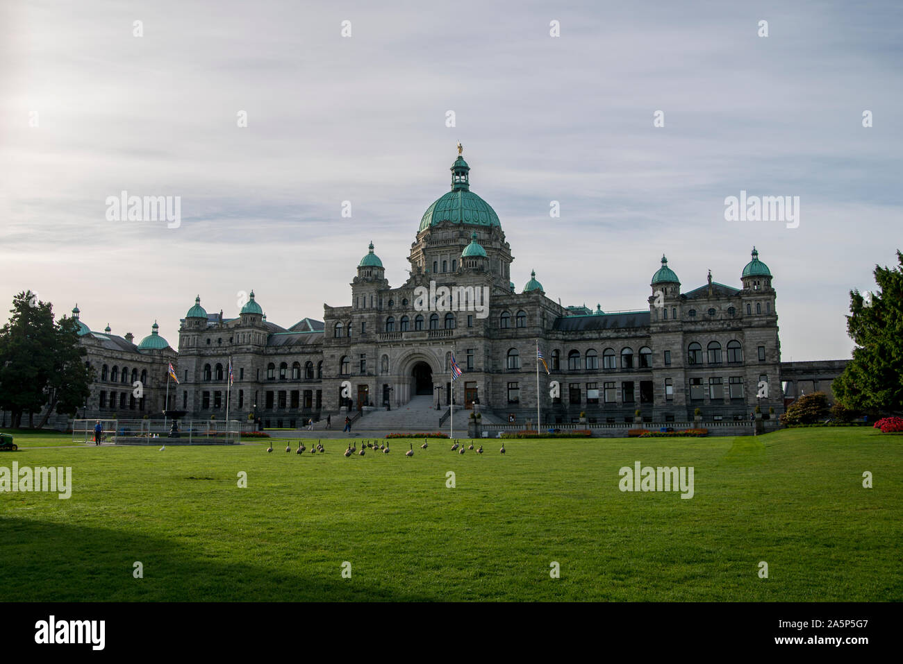 Victoria, Colombie-Britannique, Canada. Bâtiment du Parlement européen avec les bernaches du Canada sur la pelouse. Banque D'Images
