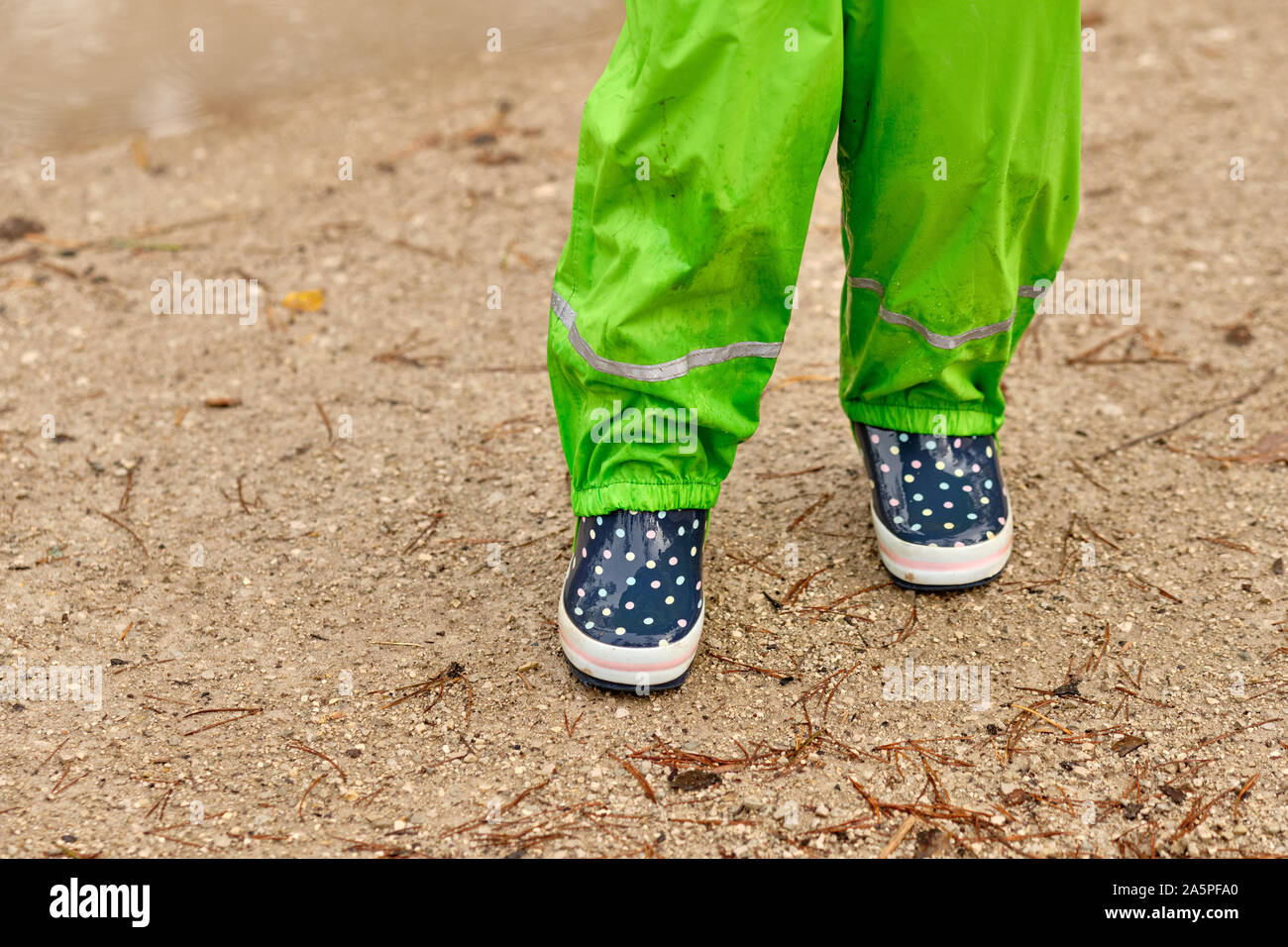 Un enfant en vert pantalons imperméables et bottes en caoutchouc bleu tacheté debout sur une route de gravier humide dans la forêt un jour de pluie en octobre en Allemagne Banque D'Images
