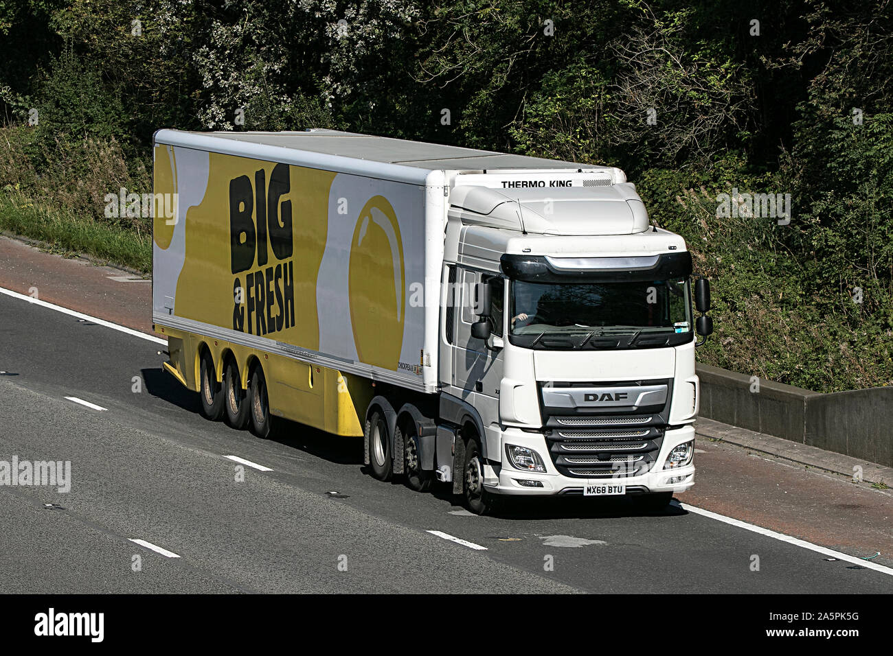 Big & oeufs frais semi livraison DAF XF voyageant sur l'autoroute M61, près de Manchester, Royaume-Uni Banque D'Images