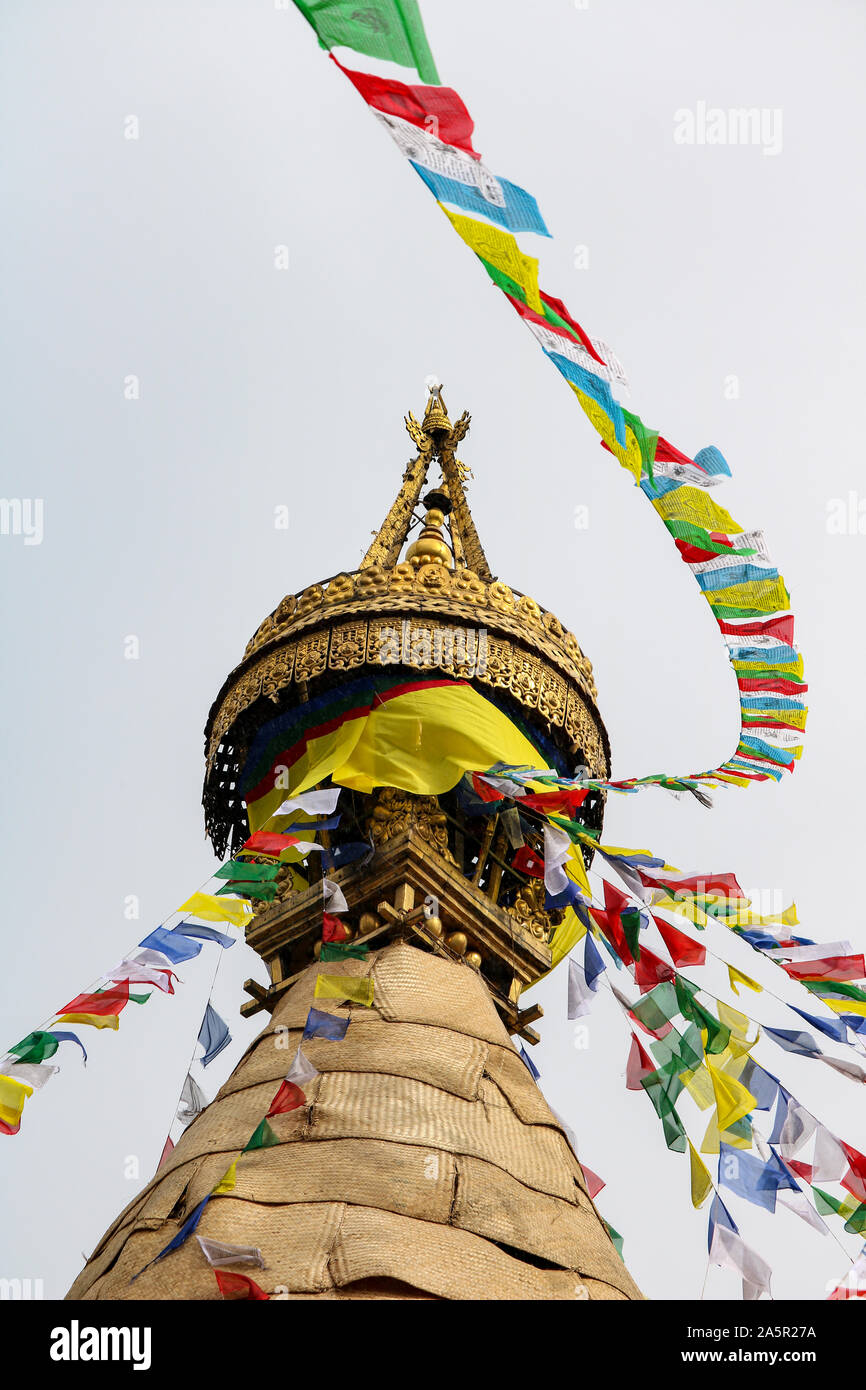 Le Temple de Swayambhunath, singe, avec les drapeaux de prières, Katmandou, Népal Banque D'Images