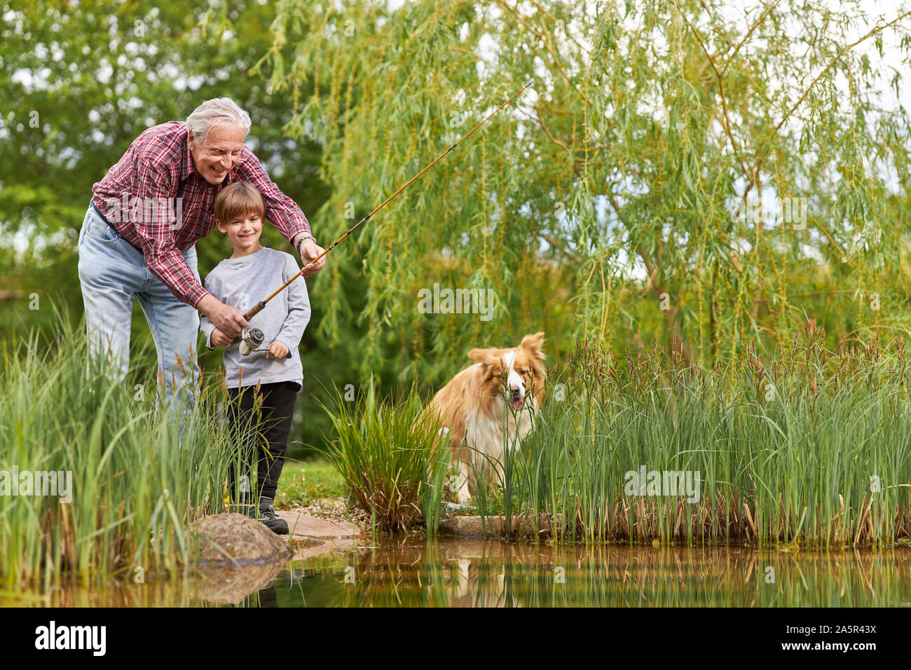 La pêche aux grands-pères avec petit-fils et le chien par le lac en été Banque D'Images
