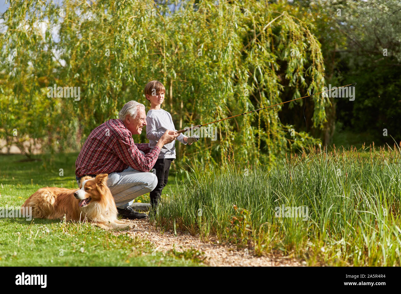 Grand-père aide son petit-fils avec un chien au bord du lac la pêche en été Banque D'Images
