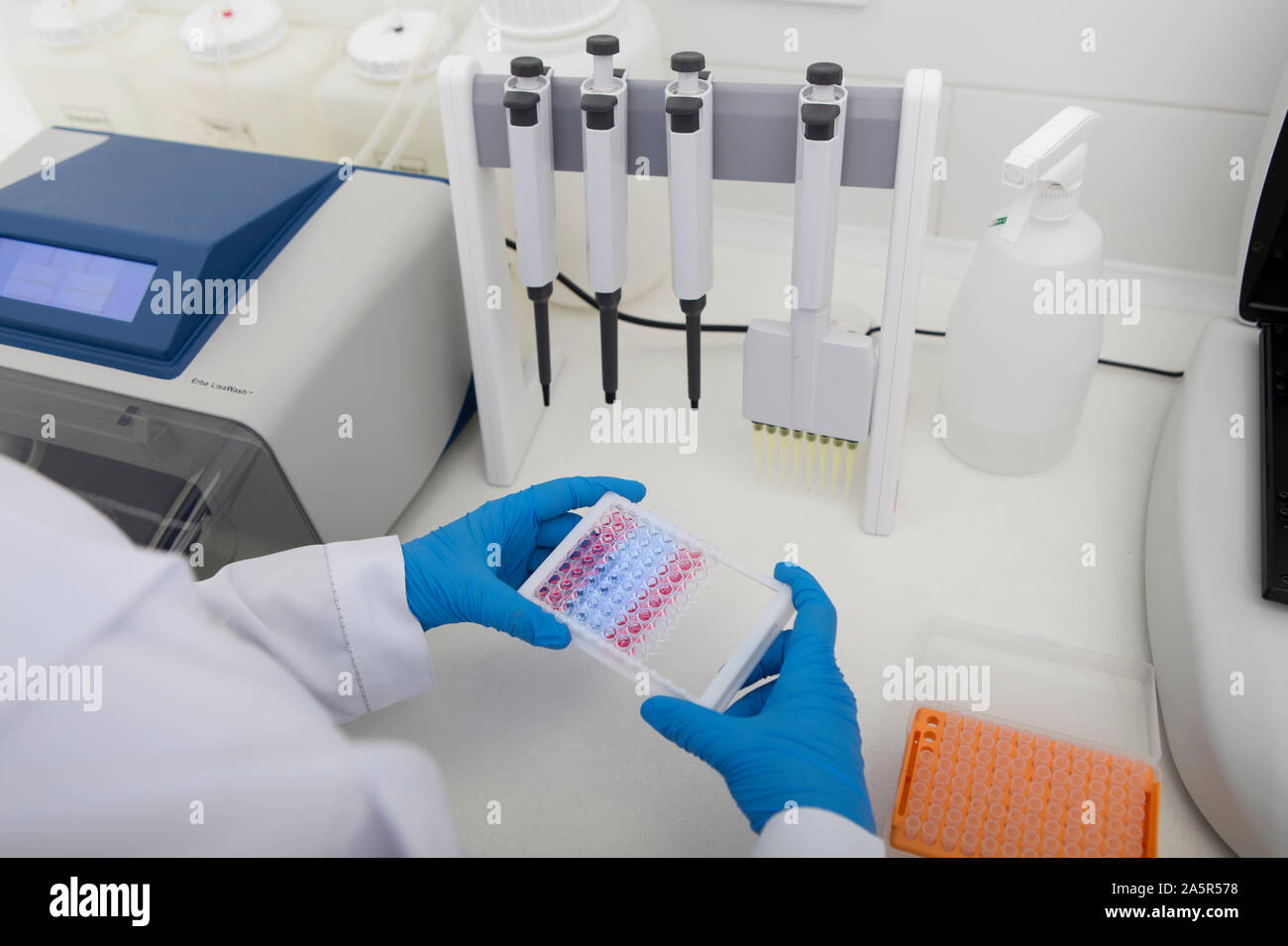 Mains de petits tubes à essai clinicien Banque D'Images