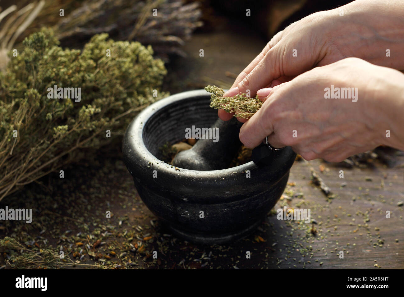 Mélange de fines herbes. La femme prépare les médicaments à base de plantes naturelles. Banque D'Images