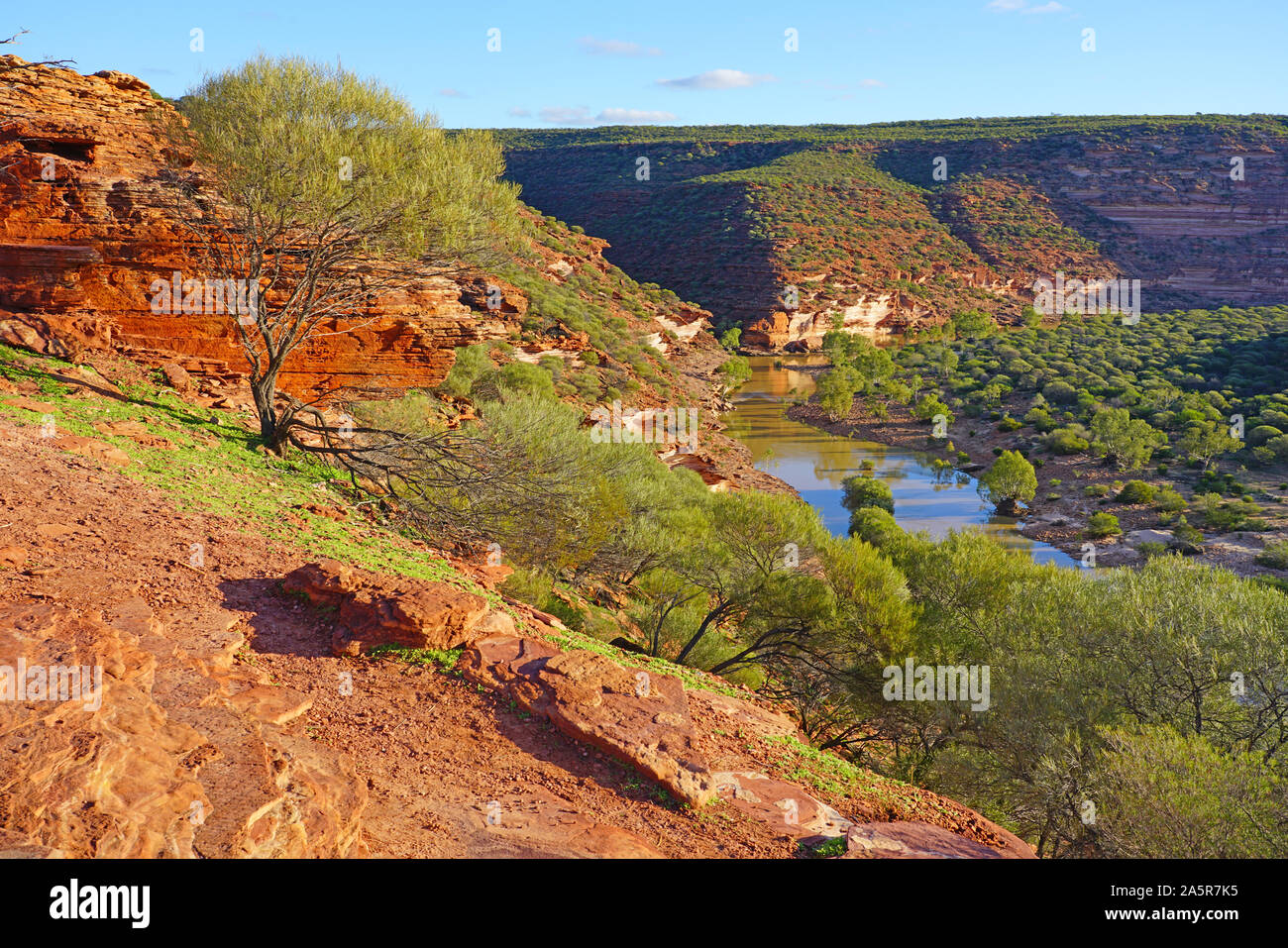 Vue de la Murchison River gorge dans le Parc National de Kalbarri dans le milieu de l'ouest de l'Australie-Occidentale en Australie. Banque D'Images