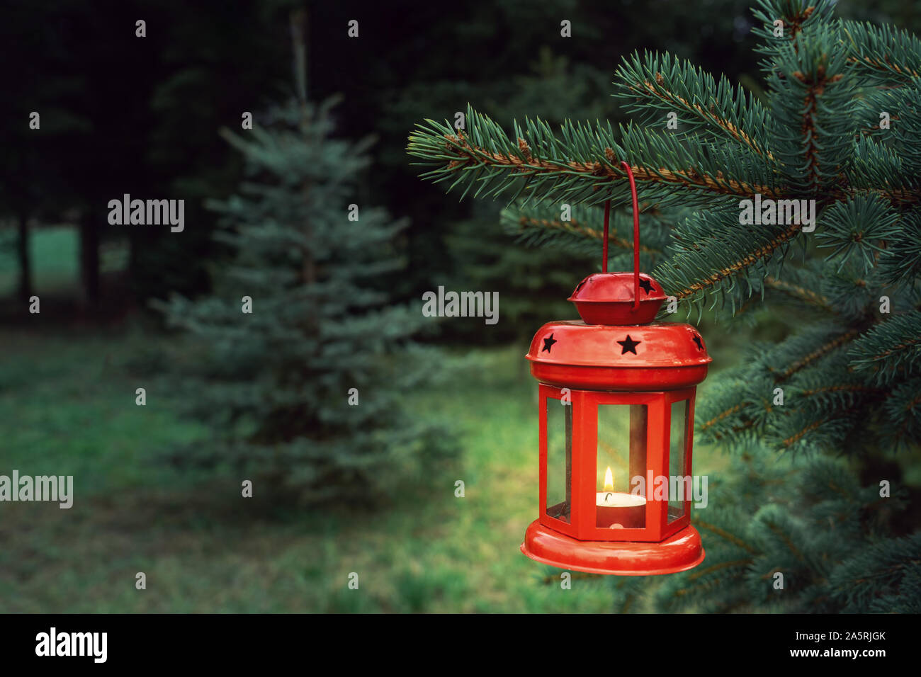 Lanterne Rouge de noël sur un sapin dans une forêt de pins de l'humeur de  Noël Photo Stock - Alamy