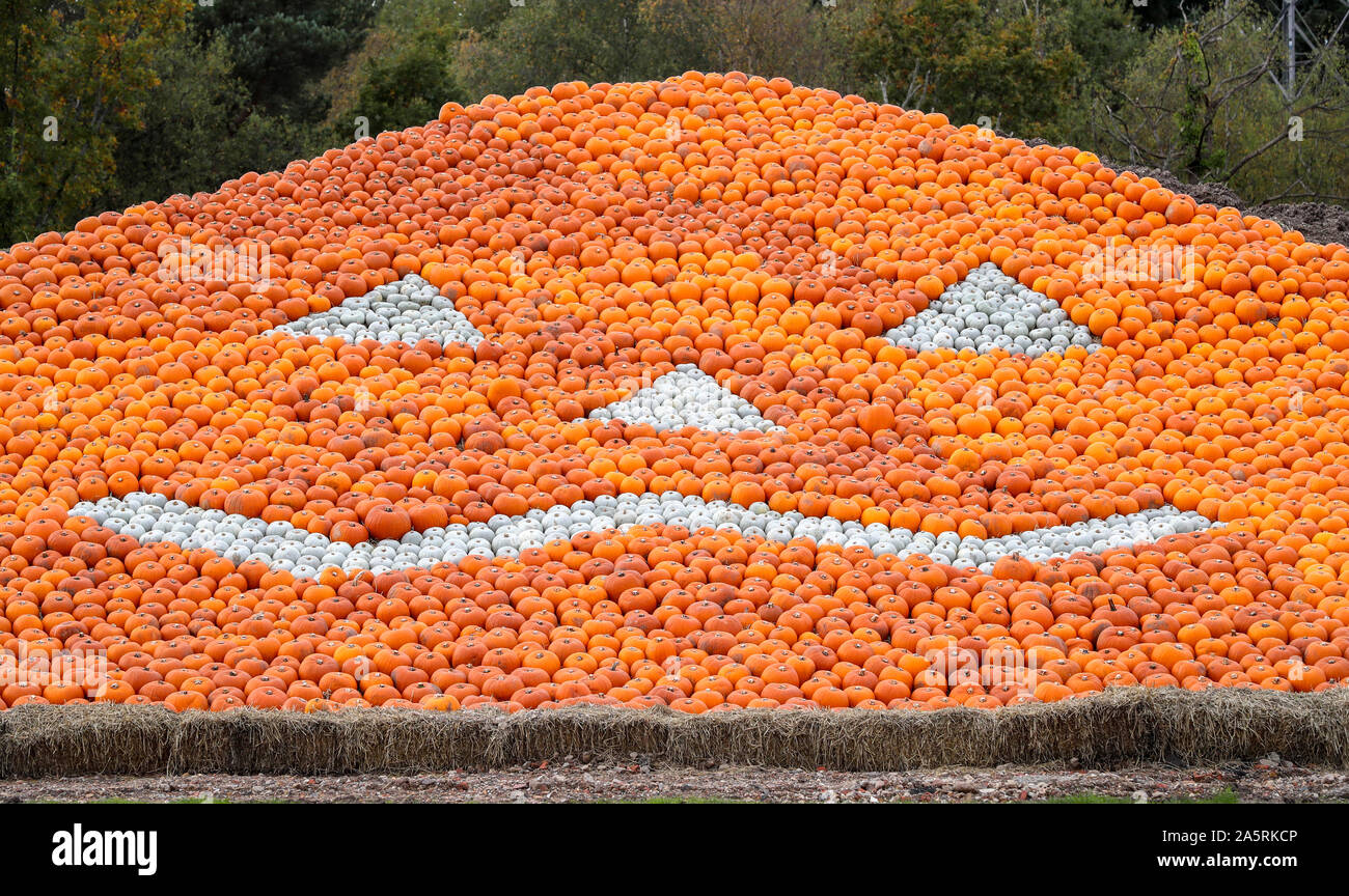 Southampton, Hampshire, Royaume-Uni. 22 octobre 2019. Les fermiers à l'Sunnyfields ferme près de Southampton ont créé une citrouille géante pyramide créé à partir de milliers de citrouilles pour le festival de la citrouille annuel qui est ouvert jusqu'au 31 octobre. Stuart Martin Crédit/Alamy Live News Banque D'Images