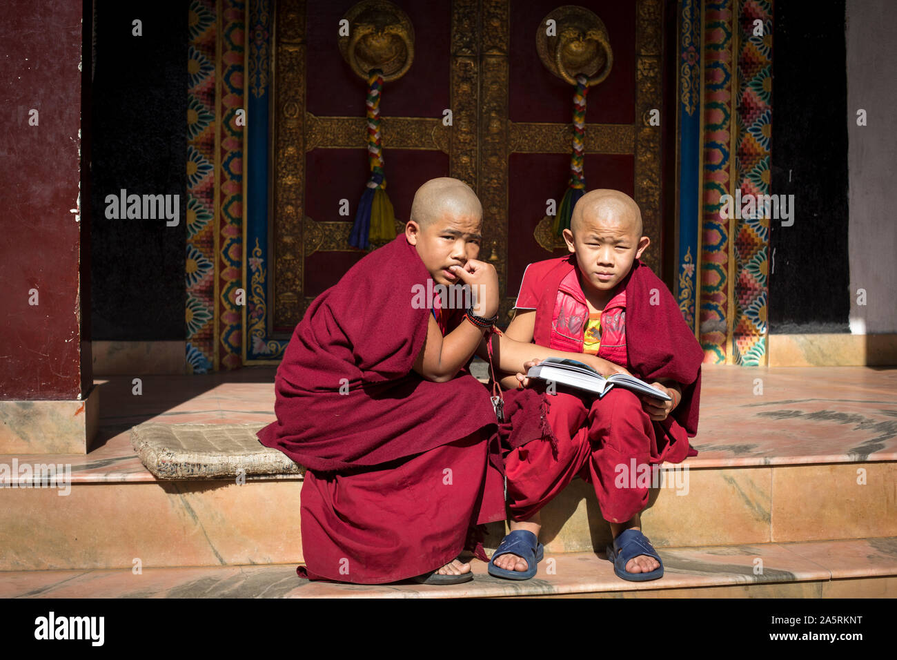 Les jeunes moines bouddhistes regarder à travers un livre de photos de France. Banque D'Images