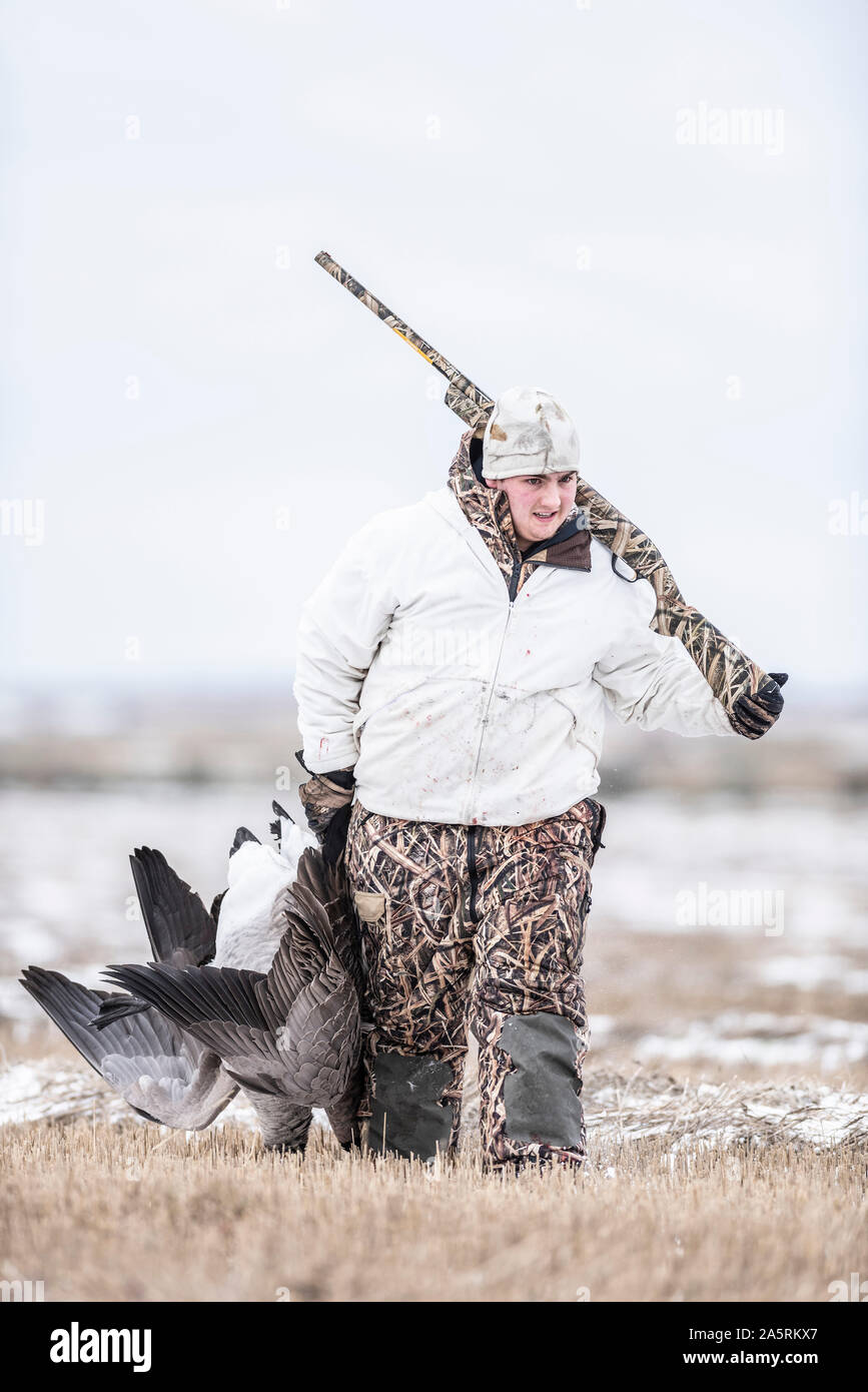 Un jeune chasseur d'oie avec des Oies Banque D'Images