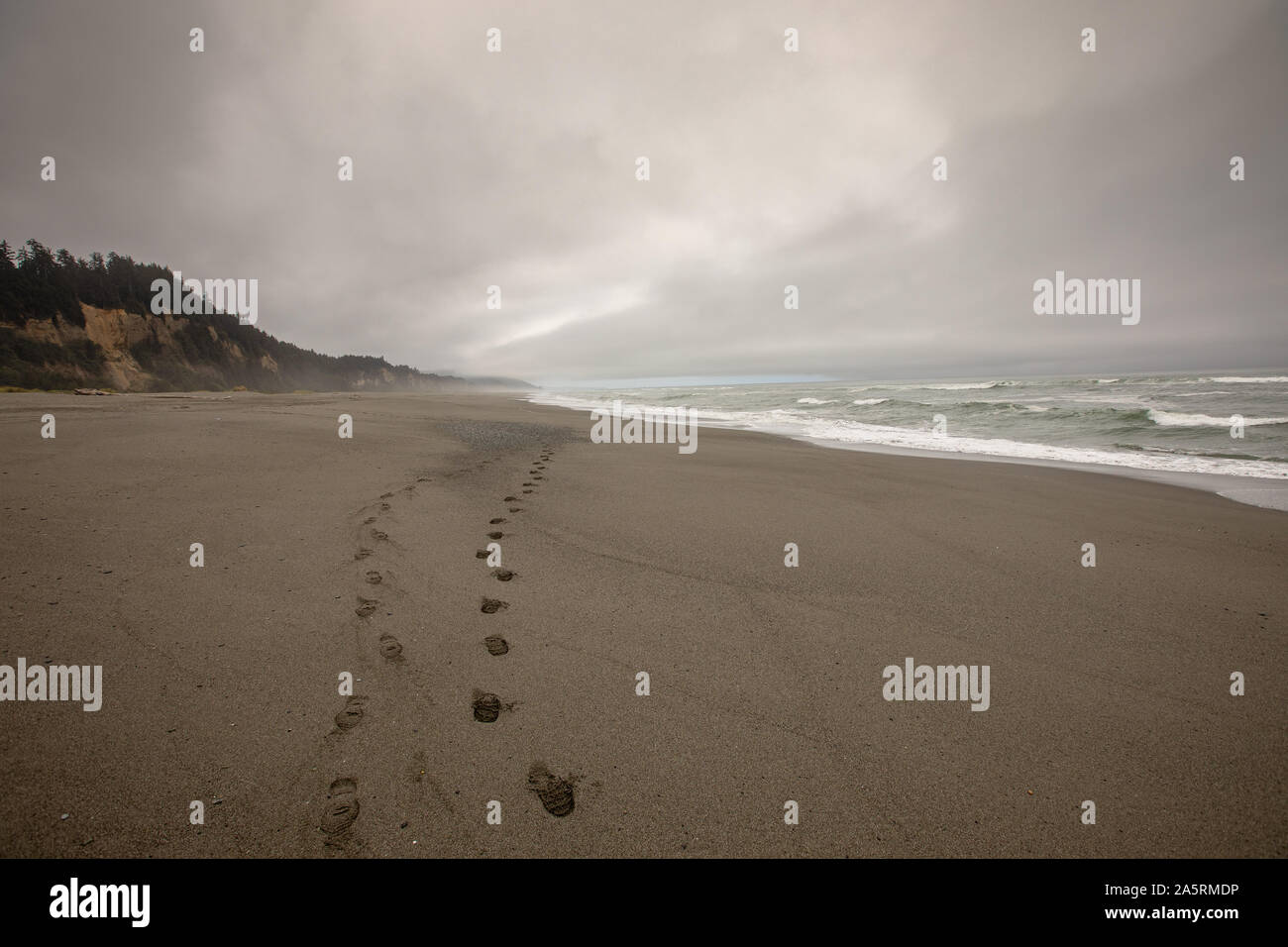 Le long d'empreintes de pieds dans le sable, l'or Bluffs Beach State Park Banque D'Images