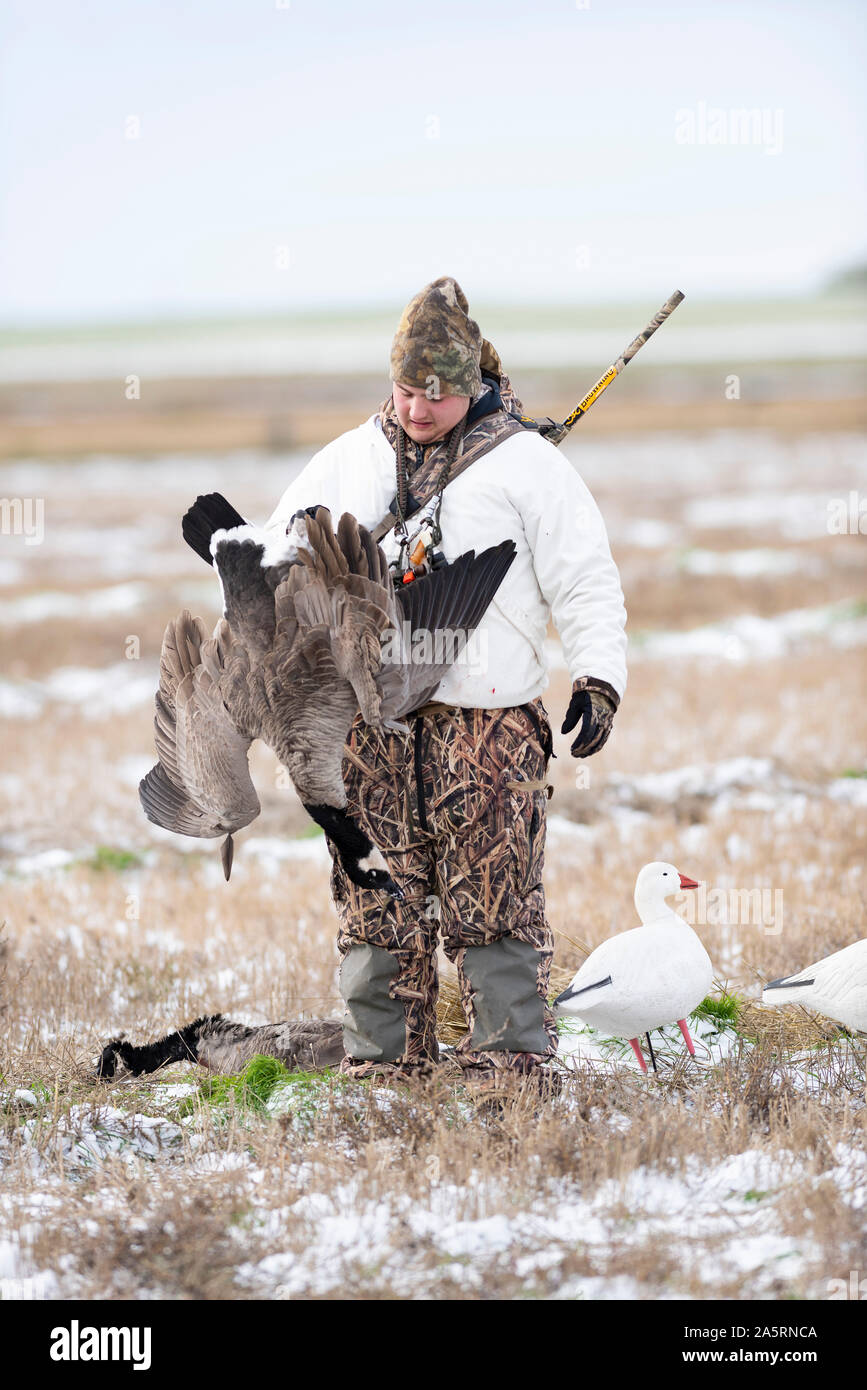 Un jeune chasseur d'oie avec des Oies Banque D'Images