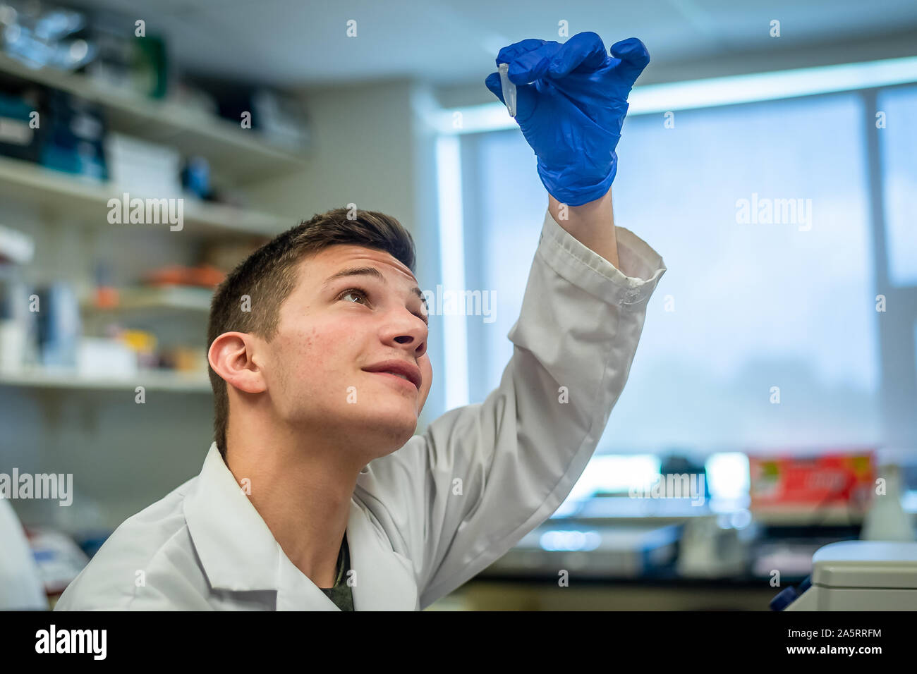 Jeune étudiant en sciences effectuant une expérience biotechnologique en laboratoire Banque D'Images