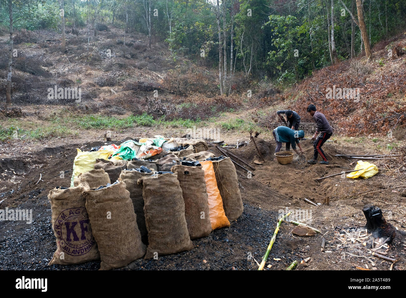 Production de charbon de bois dans le village d'Umsolaith, Khasi Hills - Centre d'écospiritualité Saint François à Orlong Hada, État de Meghalaya, Inde, Asie Banque D'Images
