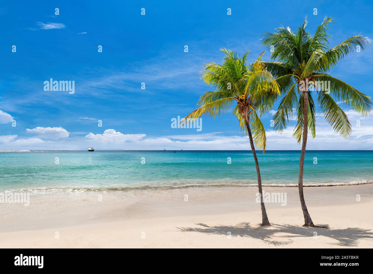 Plage tropicale avec palmiers et la mer turquoise en île des Caraïbes ...