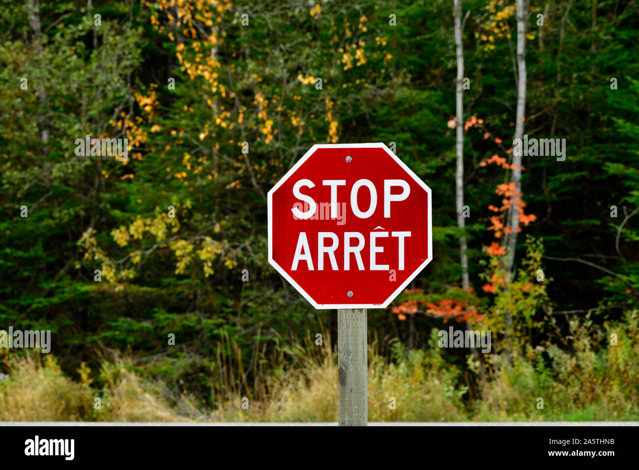 Rouge et blanc d'un panneau d'arrêt bilingue sur une intersection dans les régions rurales du Nouveau-Brunswick Canada Banque D'Images