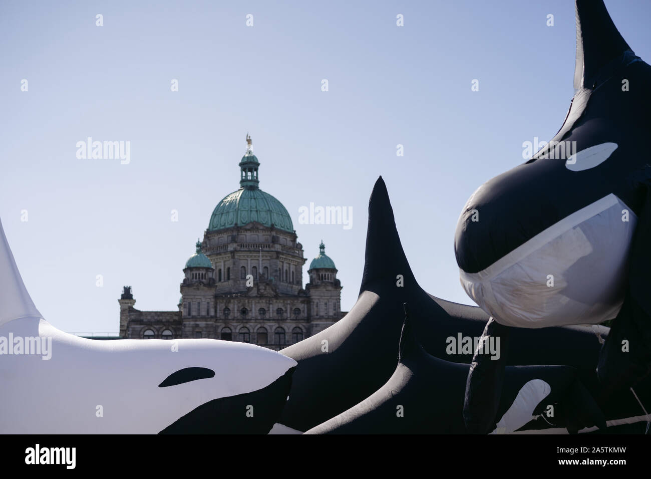 Blow up orcas et palais du gouvernement Banque D'Images