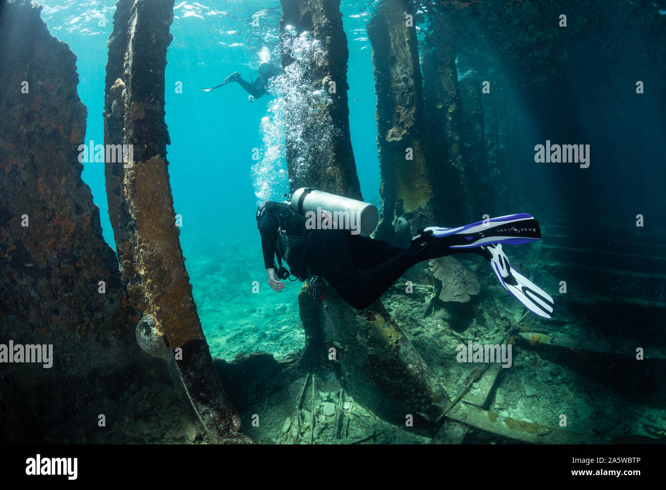 Un plongeur nage à travers les côtes de la coque de l'épave Sapona à Bimini, Bahamas. Banque D'Images