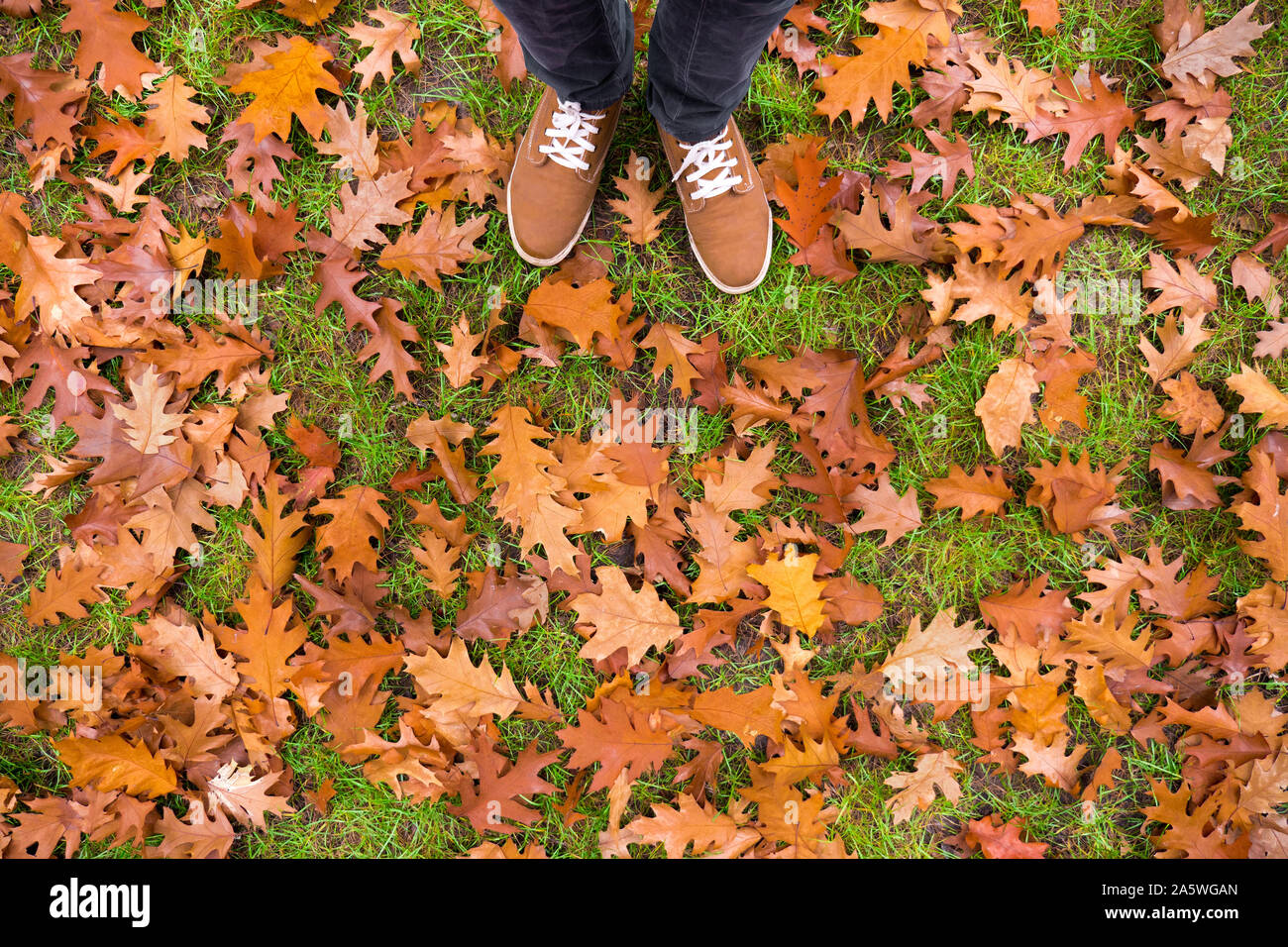 Les jambes en jeans et baskets se tenant sur le sol avec les feuilles d'automne, vue du dessus, point de vue Banque D'Images