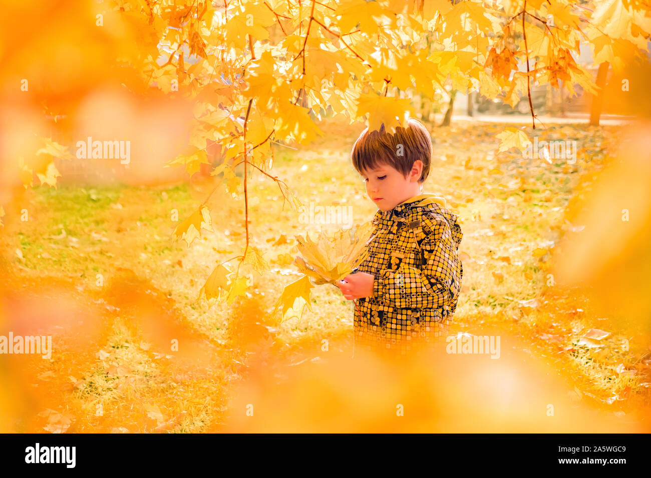 Beau garçon parmi les feuilles d'automne doré. Humeur mélancolique. Retrospective, conceptuel. Recollaction, concept de rafraîchissement. Scène non urbaines. Arrière-plan de la petite enfance. L'enfant sur une marche. La photographie de l'atmosphère Banque D'Images