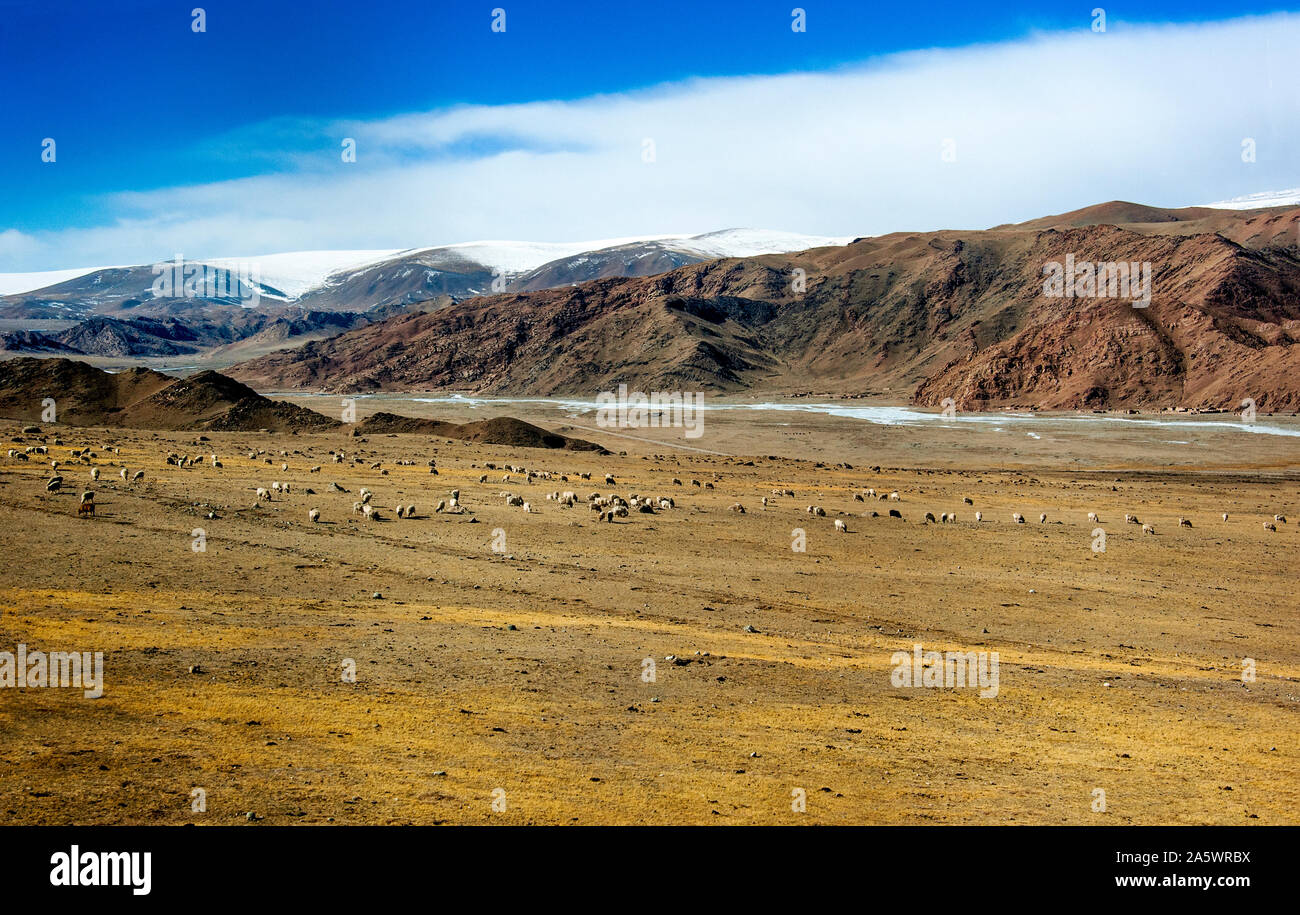 Dans la vaste terre d'élevage, vue depuis le train entre Turpan-Kashkar, Xinjiang, Chine. Banque D'Images