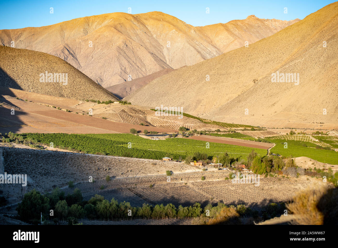 Champs et des terres agricoles pour la croissance des raisins pour la production du pisco niché dans les montagnes de la vallée de Pisco Elqui, Coquimbo, Chili. Banque D'Images