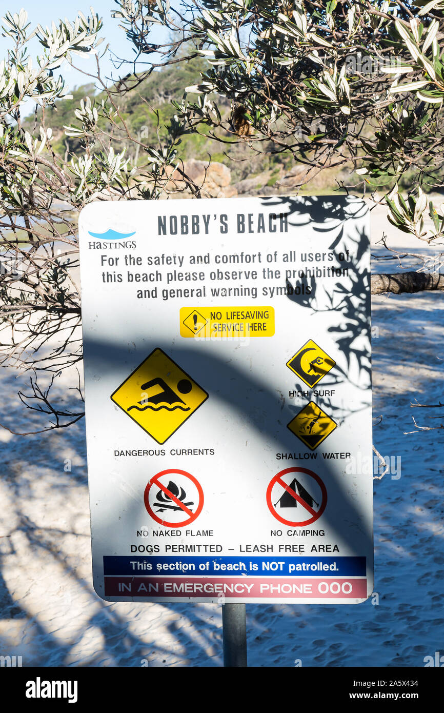 Plage de Nobbys, Port Macquarie, un chien local friendly beach. Banque D'Images