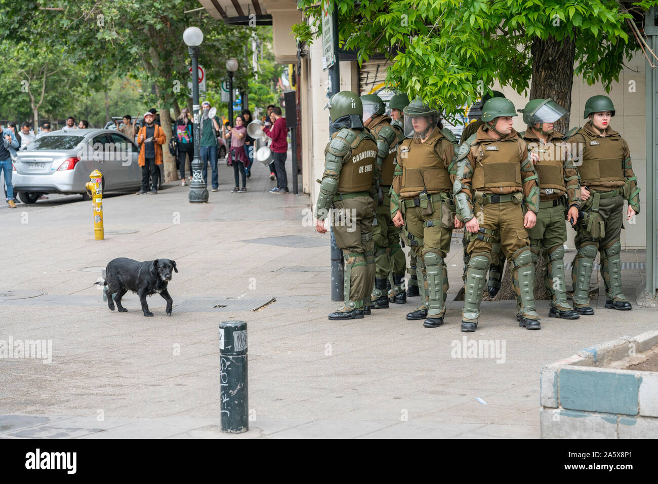 Indifférent chien en passant par les affrontements entre la police et les manifestants à Santiago rues pendant les dernières émeutes d'octobre 2019 Santiago, Chili Banque D'Images